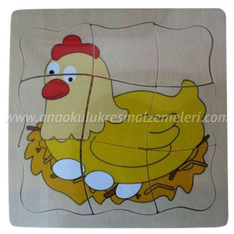 Tavuk Gelişim Evreleri Puzzle